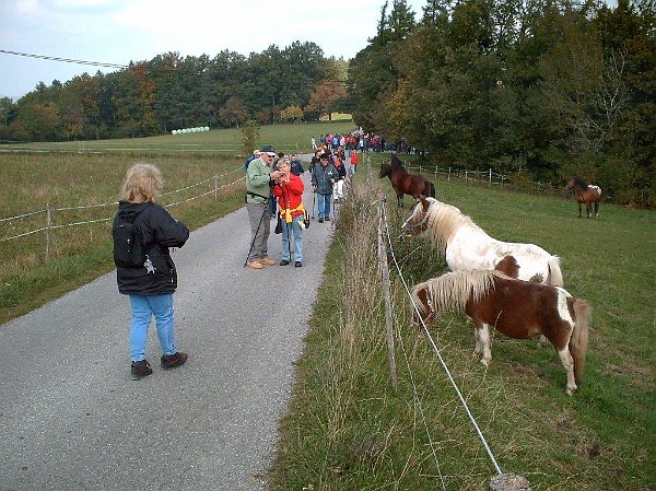 Wandertag_2005 010.jpg